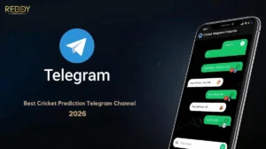 Best Cricket Prediction Telegram Channel